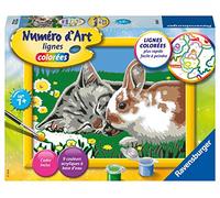 Ravensburger- Numéro d'art-Petit-Chaton et Son compagnon le Lapin Animales Ocio Creativo, Color Colorido. (4005556286614)