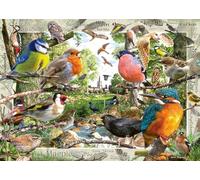 Ravensburger Our Feathered Friends 1000 Piece Jigsaw Puzzle for Adults | Unique, Pieces | Anti-Glare Surface | FSC Certified, Eco-Friendly | Amazon Exclusive