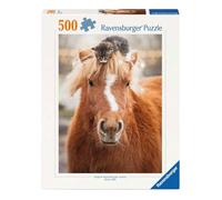 Ravensburger - Puppies Collection: Gatito y Caballo 500 Piezas | Puzzle 500 Piezas Adultos | Rompecabezas Adultos | Mide 49x36cm | Ideas Regalo