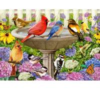 Ravensburger - Puzle Grande de 500 Piezas - El baño para pájaros - Adultos y niños a Partir de 12 años - Puzle 16793