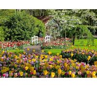 Ravensburger - Puzzle: Jardines del Parque Keukenhof en los Países Bajos, 1000 Piezas, Puzzles para Adultos, Rompecabezas para Adultos, Regalos a Partir de 14 Años, 70x50cm