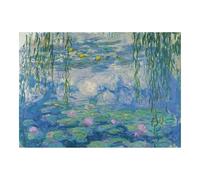 Ravensburger - Puzzle Monet: Waterlilies, Puzzle 1000 Piezas, Puzzles para Adultos, Puzzle 1000 Piezas Adultos, Pegamento Puzzle para Enmarcar, Rompecabezas Adultos, Puzles 1000 Adultos, Arte