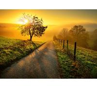 Ravensburger - Puzzle 1000 Piezas Paisaje al Sol de la Mañana | Puzzle Adultos | para Toda La Familia | 70x50 Cm | Rompecabezas Adultos | Regalo Navidad