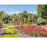 Ravensburger - Puzzle 1000 Piezas Parque Pallavicino | Puzzle Adultos 70x50cm | Puzzle 1000 Piezas Stresa Italia | Rompecabezas Adultos