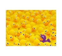 Ravensburger - Puzzle 1000 Piezas Patos De Goma Challenge | Puzzle Adultos 70x50cm | Puzles 1000 Adultos | Rompecabezas Niños +14 Años | Puzzles 1000 Piezas De Patos De Goma