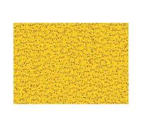 Ravensburger - Puzzle 1000 Piezas Pokémon Pikachu Challenge, Adultos 70x50 cm