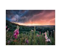 Ravensburger - Puzzle 1000 Piezas Relampago | Puzzle Adultos 70x50cm | Puzzle 1000 Piezas Naturaleza | Rompecabezas Adultos