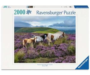 Ravensburger Puzzle 12001751 - Wild Horses in The Heath, Rompecabezas de 2000 Piezas, para Aficionados a los Caballos a Partir de 14 años