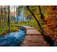 Ravensburger Puzzle 12001764 - Puzzle (1000 Piezas, para Amantes de la Naturaleza y Amantes del Senderismo, a Partir de 14 años)