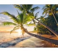 Ravensburger - Puzzle 1500 Piezas Playa Secreta, Puzzle Adultos 80x60 cm | Puzzle 1500 piezas, formato 80x60 cm, para adultos, ideal como regalo original y para disfrutar del montaje.