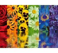 Ravensburger - Puzzle: Flores, Puzzles para Adultos y Niños, Rompecabezas Adultos, Puzzle 500 Piezas, USA Pegamento Puzzle para enmarcar, Puzzle 500 Piezas Adultos, Regalos Originales para Mujer
