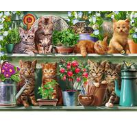Ravensburger - Puzzle 500 Piezas Gatos En La Estantería | Puzzle 500 Piezas Adultos | Rompecabezas Adultos Y Niños De 14 Años O Más | Regalos para Niños 14 Años O Más | Mide 49x36cm