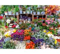Ravensburger Rompecabezas Flower Market, Francia – 500 piezas para adultos