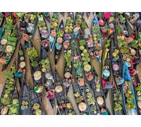 Ravensburger - Puzzle 500 Piezas: Mercado Flotante, Indonesia, Puzzle Adultos 49 x 36 cm, Rompecabezas Adultos, para Toda la Familia, Regalo Adulto