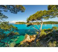 Ravensburger 12000219 - Vista marítima - Puzzle 500 Piezas - Puzzle Adultos y niños a patir de 12 años, Puzzle Paisaje y Naturaleza