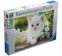 Ravensburger - Puzzle: Gatito Blanco, Puzzle 1500 Piezas, Puzzles para Adultos y Niños, Puzzle 1500 Piezas Adultos, Pegamento Puzzle para Enmarcar Puzzles, Rompecabezas Adultos, 80x60cm