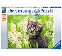 Ravensburger - Puzzle: Gatito en el Prado, Puzzles para Adultos y Niños, Rompecabezas Adultos, Puzzle 500 Piezas, USA Pegamento Puzzle para enmarcar, Puzzle 500 Piezas Adultos, Pasatiempos Adultos