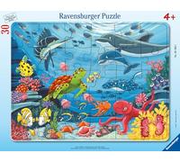 Ravensburger Puzzle Infantil con Marco (30-48 Piezas, para niños a Partir de 4 años), Multicolor (05566)