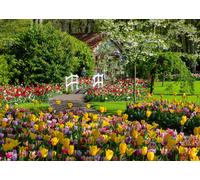 Ravensburger - Puzzle: Jardines del Parque Keukenhof en los Países Bajos, 1000 P