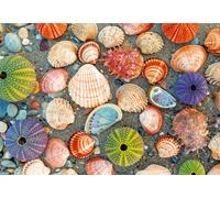 Ravensburger Puzzle Moment: by The Seashore 300 Piece Jigsaw P (Importación USA)