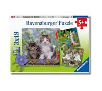 Ravensburger - Puzzles Gatitos Atigrados Pack De 3 | Puzzle 5 Años O Más | Regalos para Niños De 5 Años De 3 X 49 Piezas | Rompecabezas Niños De 21 X 21 Cm | Ravensburger Puzzle
