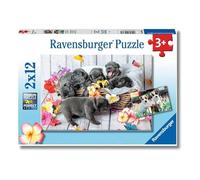 Ravensburger - Puzzles Pequeñas Bolas De Pelo Pack De 2 | Puzzle 3 Años O Más | 2 Puzles Niños 3 Años De 12 Piezas | Rompecabezas Niños De 26 X 18 Cm Puzzle Empezar