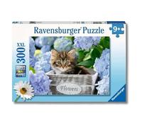 Ravensburger - Puzzle: Gatito, Puzzles para Niños de 9 años o más, Puzzle 9 años, Puzzles para Adultos, Rompecabezas Niños, Puzzle 300 piezas XXL, Regalo Niña 9 Años, Puzzle Animales, Jigsaw