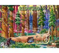 Ravensburger Redwood National Park 500 Piece Puzzle for Adults