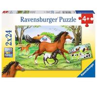 Ravensburger Spieleverlag - Puzzle de 24 Piezas (8882)