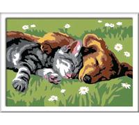 Ravensburger Tiefer Schlaf Kit de Pintura por números - Libros y páginas para Colorear (Kit de Pintura por números, 1 páginas, Niño/niña, 7 año(s), 13 cm, 18 cm)