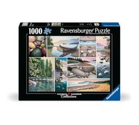 Ravensburger West Coast Tranquility - Rompecabezas de 1000 Piezas para Adultos - 12000631 - Herramientas Hechas a Mano, Fabricado en Alemania, Cada Pieza Encaja Perfectamente