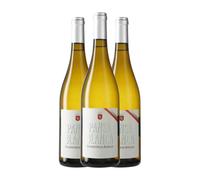 Raventós Marqués d'Alella Clásico Pansa Blanca Alella 75 cl Vino blanco (Caja de 3 Botellas de 75 cl)