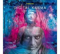 RAVIN - Buddha-Bar Presents Digital Karma
