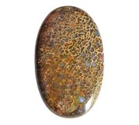 Ravishing Impressions Cabujón oval 32 CTW con forma de hueso de dinosaurio rojo natural, 31 x 20 x 5 mm, para fabricación de joyas, hueso de dinosaurio asociado con el chakra del tercer ojo, piedra