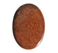 Ravishing Impressions Cabujón oval con forma de hueso de dinosaurio rojo natural, 35 x 25 x 5 mm, tamaño: ágata fosilizada - Fabricación de joyas - Piedra preciosa utilizada en la curación de vidas