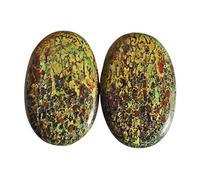 Ravishing Impressions Cabujón oval en forma de hueso de dinosaurio rojo natural, tamaño 25 x 16 x 4 mm, ágata fosilizada, fabricación de joyas, piedras preciosas utilizadas en la curación de vidas