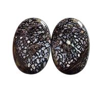 Ravishing Impressions Cabujón ovalado con forma de hueso de dinosaurio rojo natural - Tamaño: 25 x 17 x 4 mm - Fabricación de joyas - Hueso de dinosaurio asociado con el chakra del tercer ojo, piedra