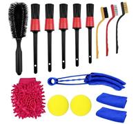 Ravytha 15 Piezas Cepillos Kit Limpieza Coche, Detailing Coches, Cepillo Lavar Automóviles, Lavado de Auto Moto, Herramientas de Cepillo de Neumáticos, para Cuidado Interior y Exterior del Automóvil