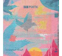 RAW POETIC AND DAMU THE FUDGEMUNK - LAMINATED SKIES [Vinilo]