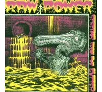 Raw Power - Screams from the Gutter/After Your