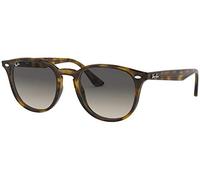 Ray - Ban Unisex RB4259 710/11 Gafas de sol Inyectado Tortuga Gris Pantos Normal Sombreado