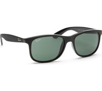 Ray-Ban Andy RB4202 606971 55