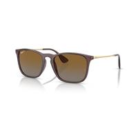 Ray-Ban Chris RB4187 - Gafas de sol cuadradas para hombre + paquete con kit de gafas de diseñador iWear de cortesía