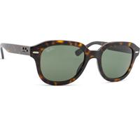 Ray-Ban Erik RB4398 902/31