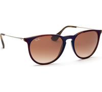 Ray-Ban Erika Classic gafas de sol Ovalado