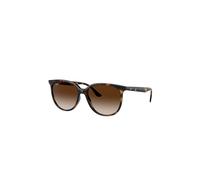 RAY BAN Gafas de sol 0RB4378/54 marrón