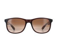 Ray-Ban Andy RB4202 607313 55