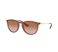 Ray - Ban Mujer Ray - Ban RB4171 ERIKA 659013 Gafas de sol Nylon Marrón Marrón Pantos Normal Sombreado
