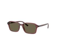 Ray - Ban Niños Ray - Ban RJ9131S 7197/3 Gafas de sol Nylon Violeta Marrón Cuadrada Normal