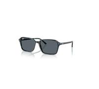 Ray-Ban RB2231 RAIMOND 1417R5 58